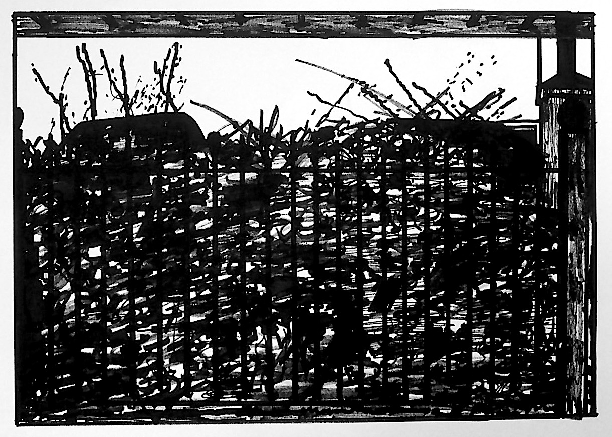 black and white pen drawing of a fence with a bush behind it 